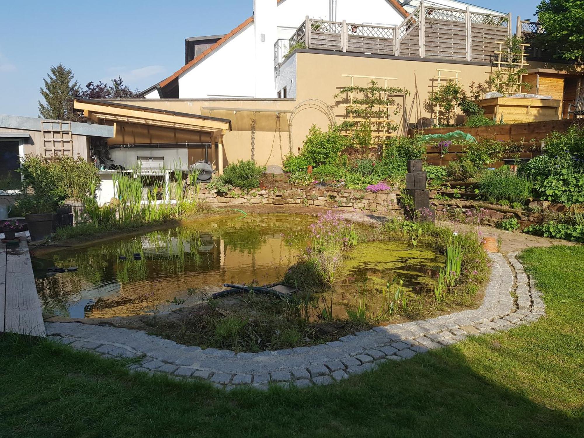Wohnung Mit Sauna, Garten & Schwimmteich 比蒂希海姆-比辛根 外观 照片